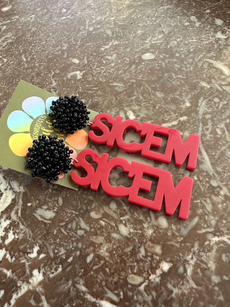 ACRYLIC SICEM EARRINGS